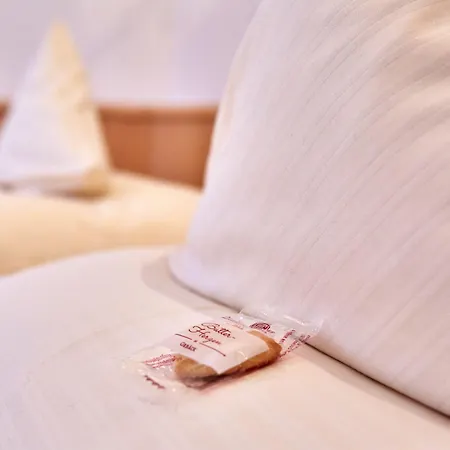 Ξενοδοχείο Aschenbrenner