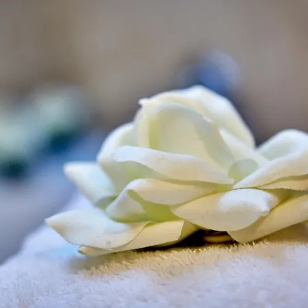 Aschenbrenner Ξενοδοχείο 3*