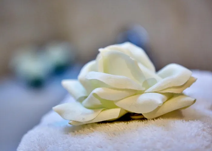 Aschenbrenner Hotel 3*